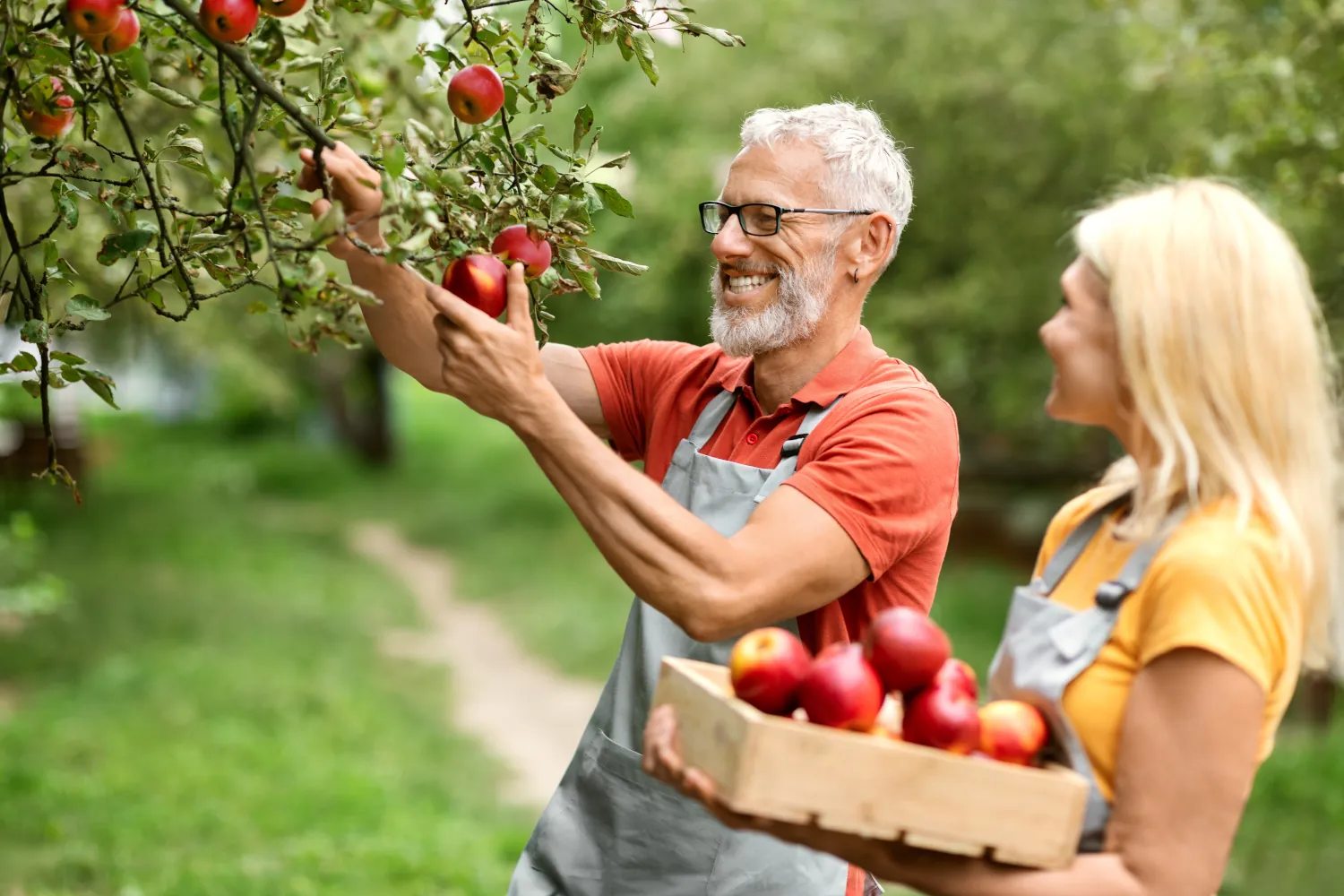 A couple picking apples together